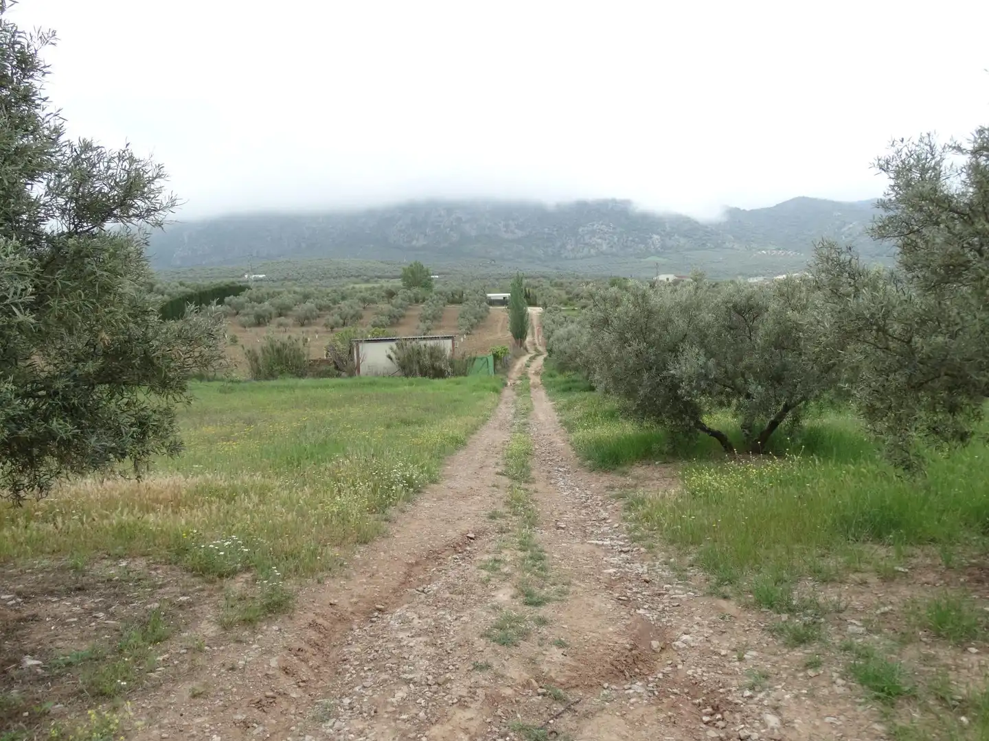 Lands and plots for sale in Calle CERRO LIMON, imagen 20