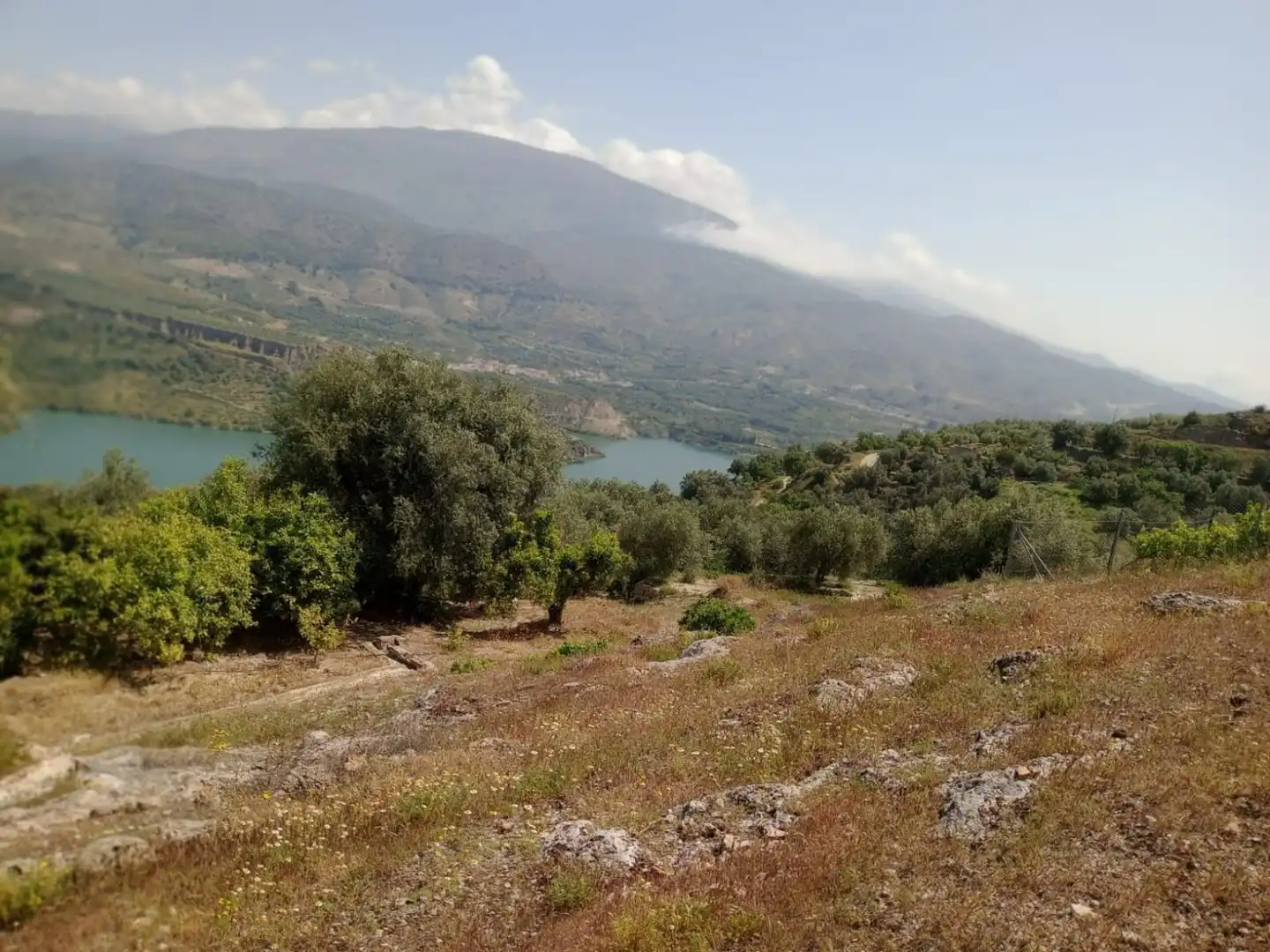 Terreni e lotti in vendita a El Valle, imagen 22