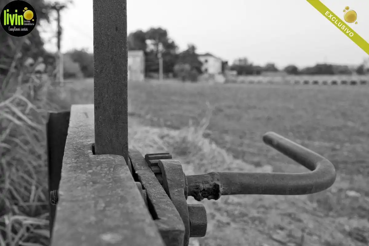 Jardí de Casa o xalet en venda en Puente Tablas - Puente Nuevo - Cerro Molina