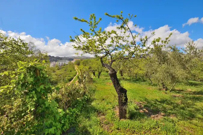 Country house zum Verkauf in Ronda mit Privatgarten