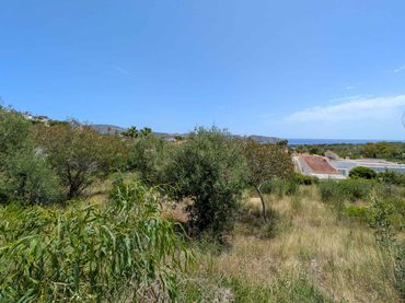 Terreny residencial en venda a La Viña - Montemar - San Jaime