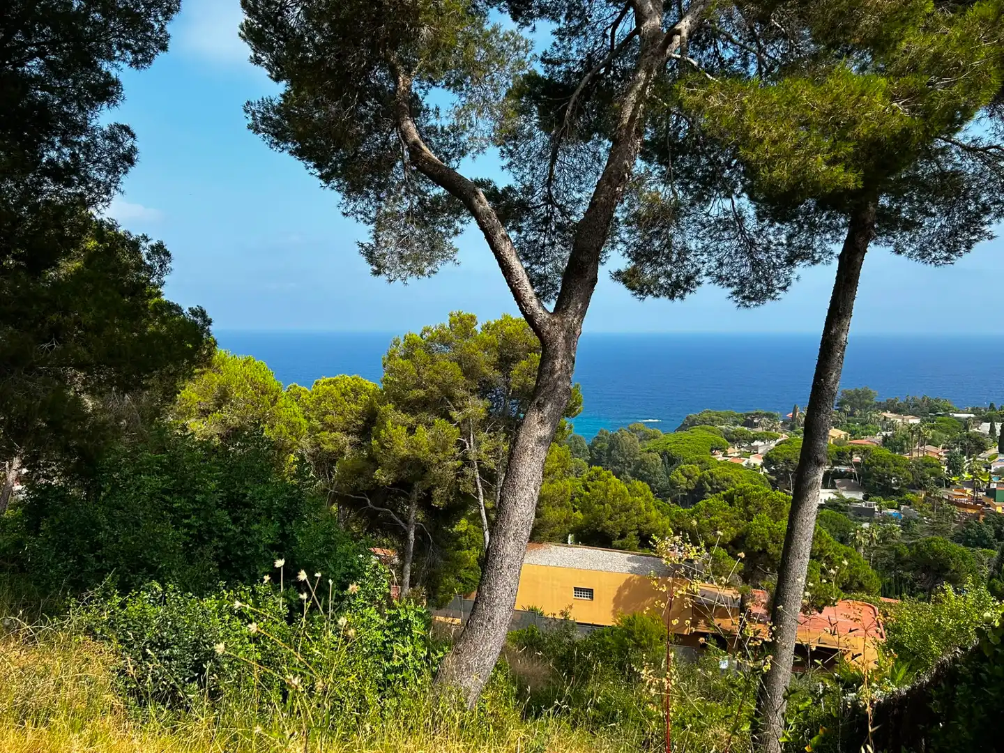 Vista exterior de Residencial en venda en Blanes