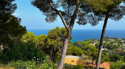 Foto 5 de Residencial en venda a Santa Cristina - Sant Francesc, Blanes