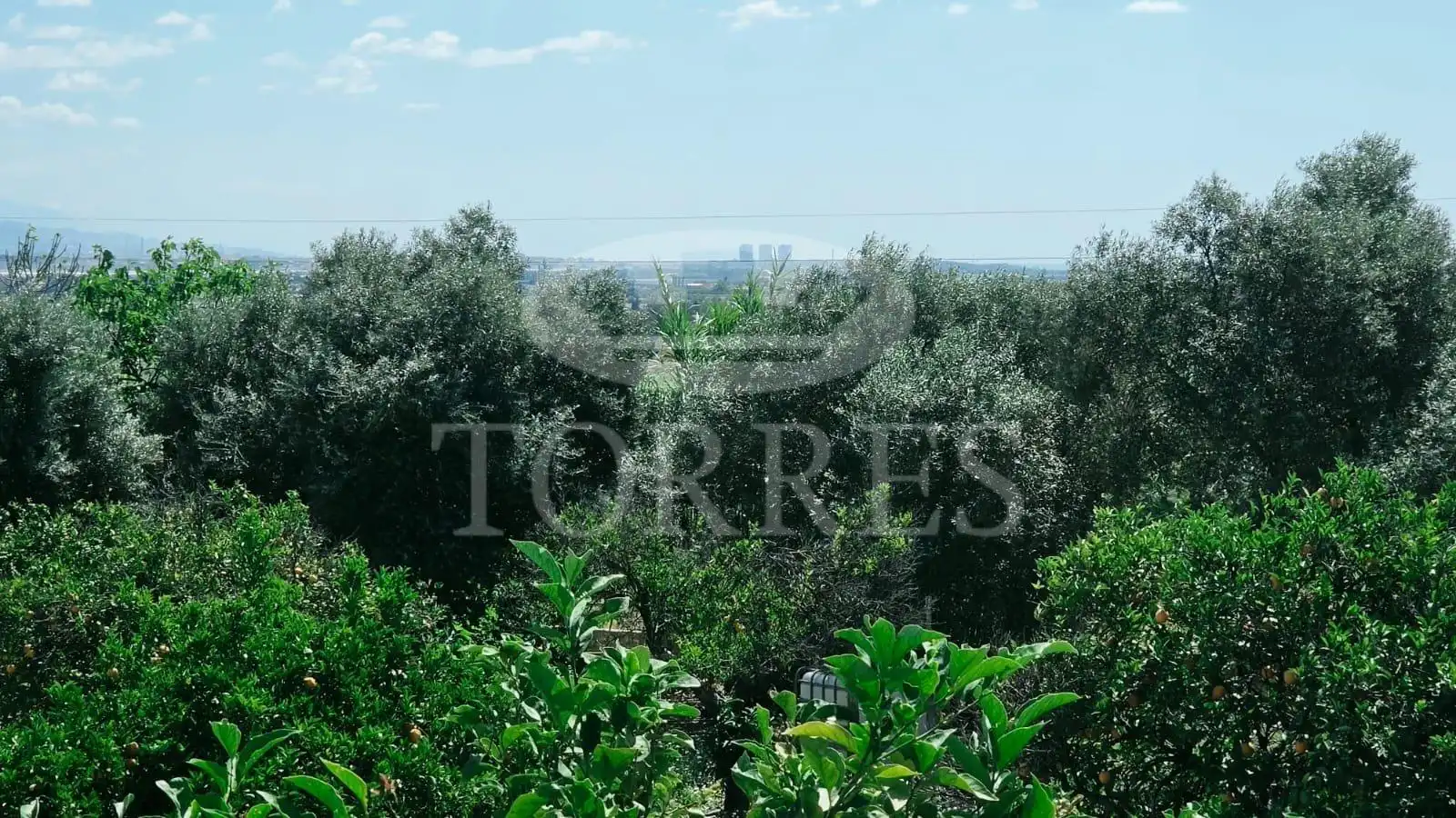 Casa o xalet en venda en Alhaurín de la Torre amb Jardí privat, Traster i Balcó