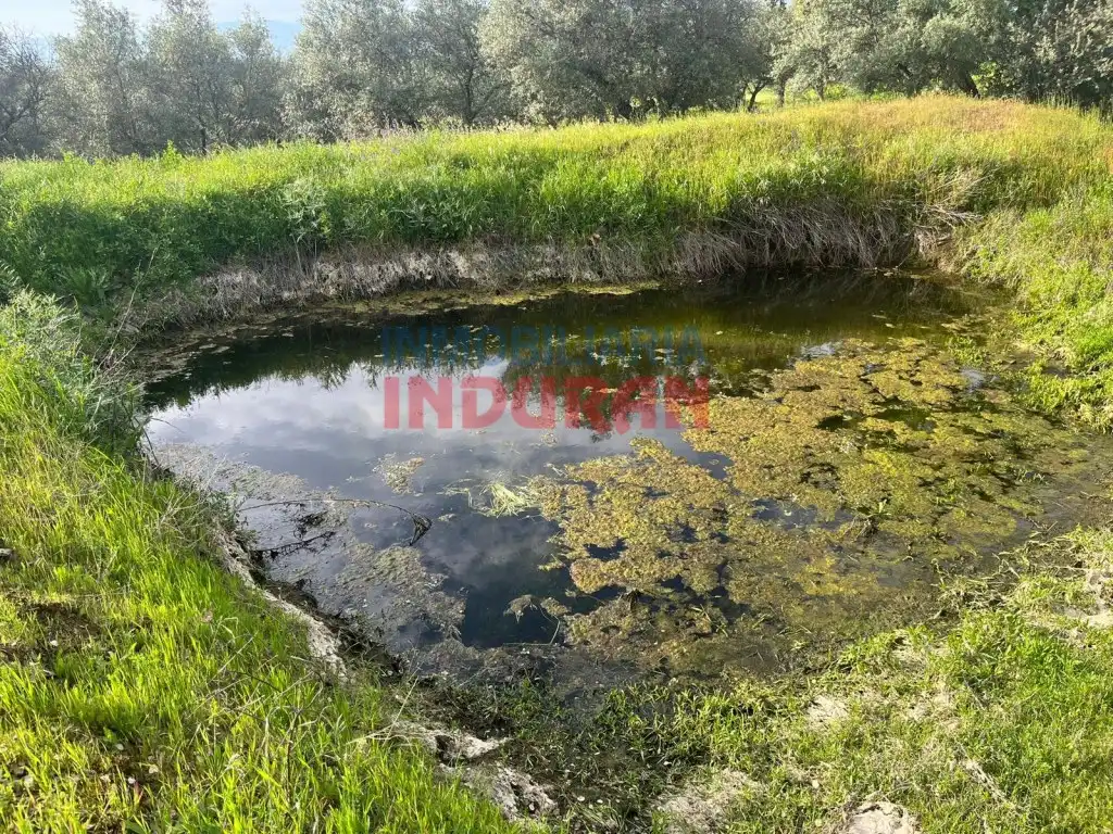 Finca rústica en venta en Millanes