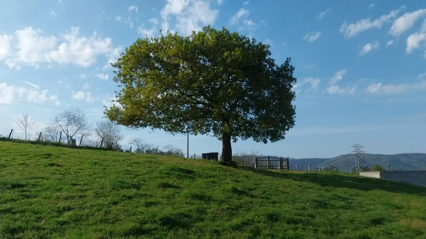 Residential land for sale in Carbayin - Lieres - Valdesoto, imagen 9