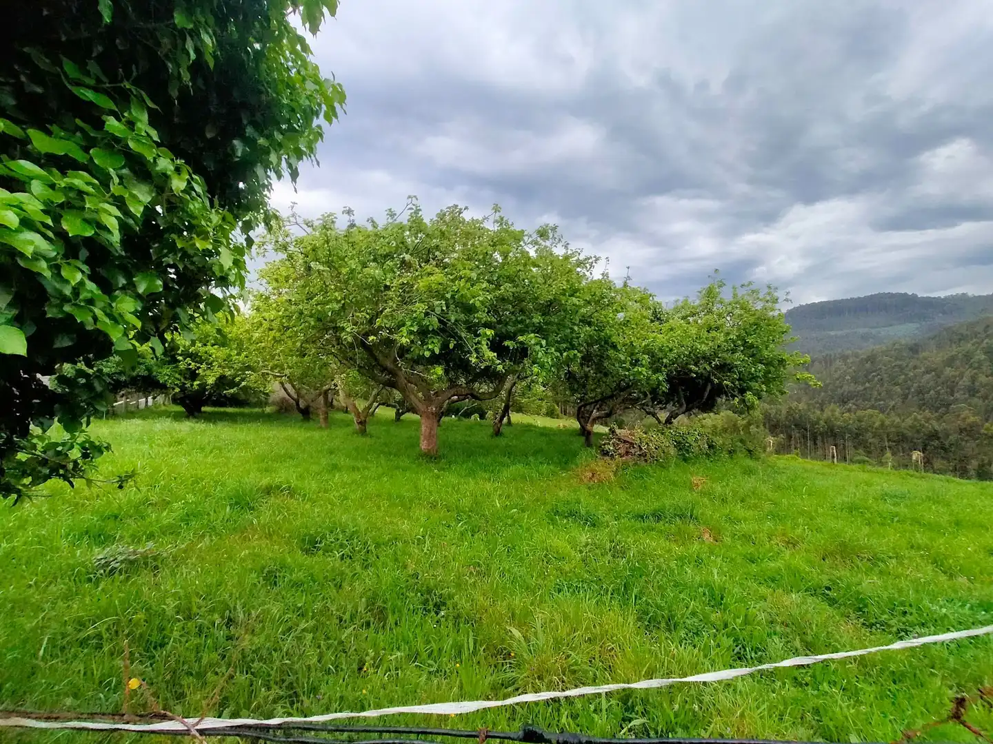 Terreni e lotti in vendita a Pravia, imagen 16