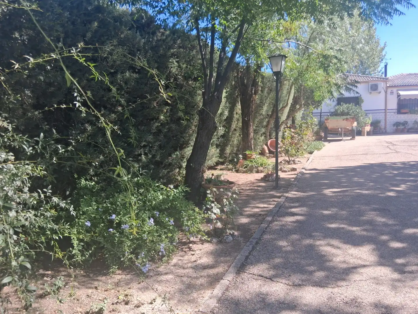 Detached house with garden for sale in Carretera, imagen 7