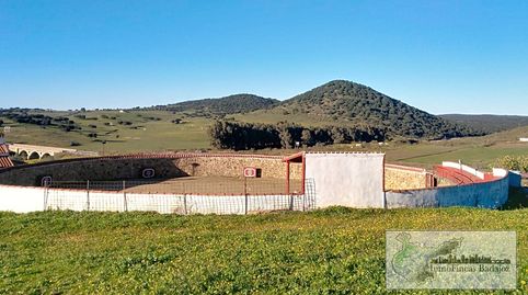 Foto 4 de Finca rústica en venta en Calle Higuera de Vargas, 1, Olivenza, Badajoz