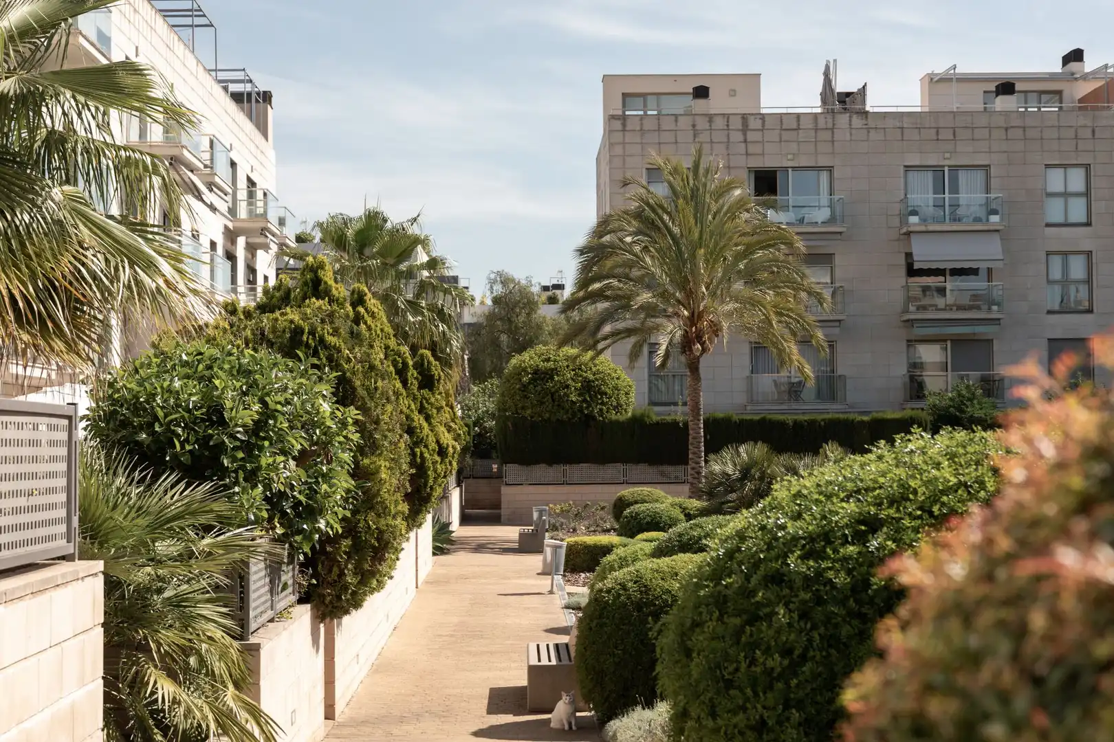 Vista exterior de Àtic en venda en  Palma de Mallorca amb Terrassa