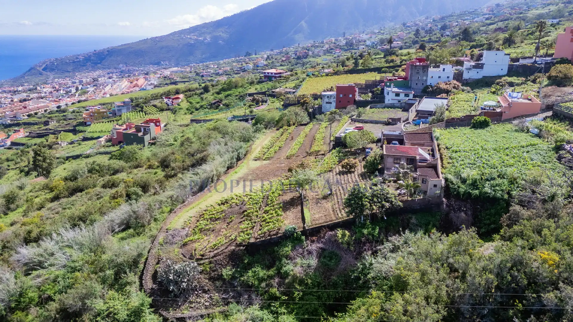 Casa rústica con jardín en venta en La Perdoma - San Antonio - Benijos, imagen 113