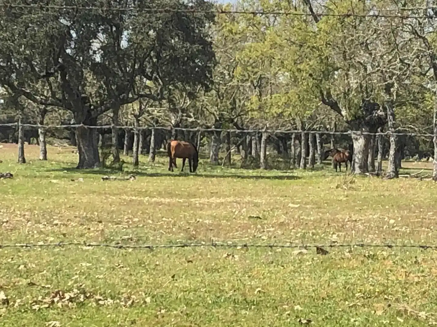 Vista exterior de Terreno en venta en Fuentes de Oñoro