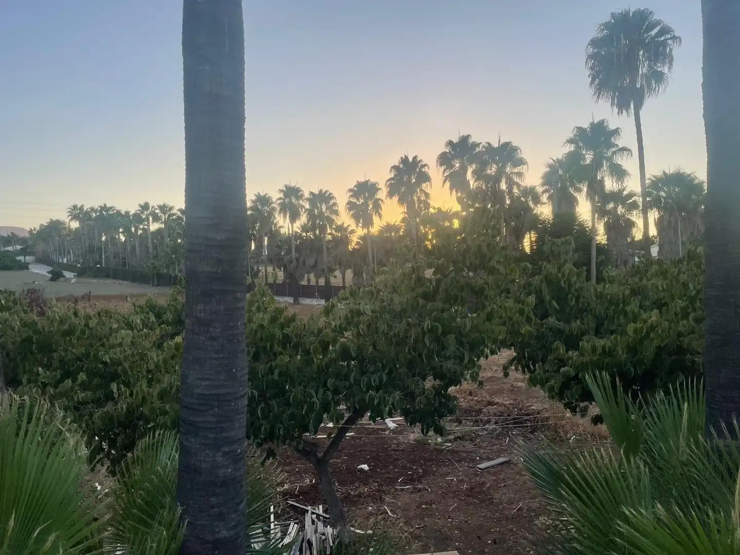 Chalet en venta en Cuesta El Palmar, imagen 4