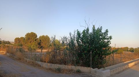 Parcela Rustica en Las Torres de Cotillas, Zona de la Media Legua, immagine 2