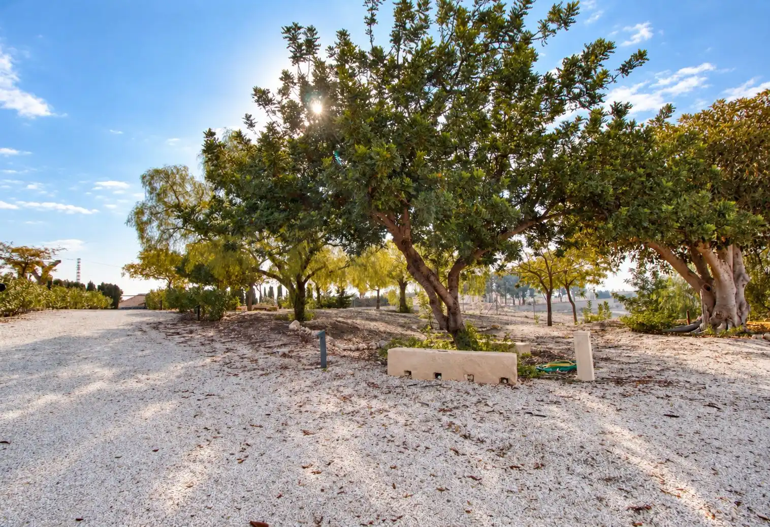 Villa à vendre à Albatera, imagen 38