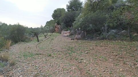 Foto 2 de Terreno en venta en Casco Antiguo, Llíria