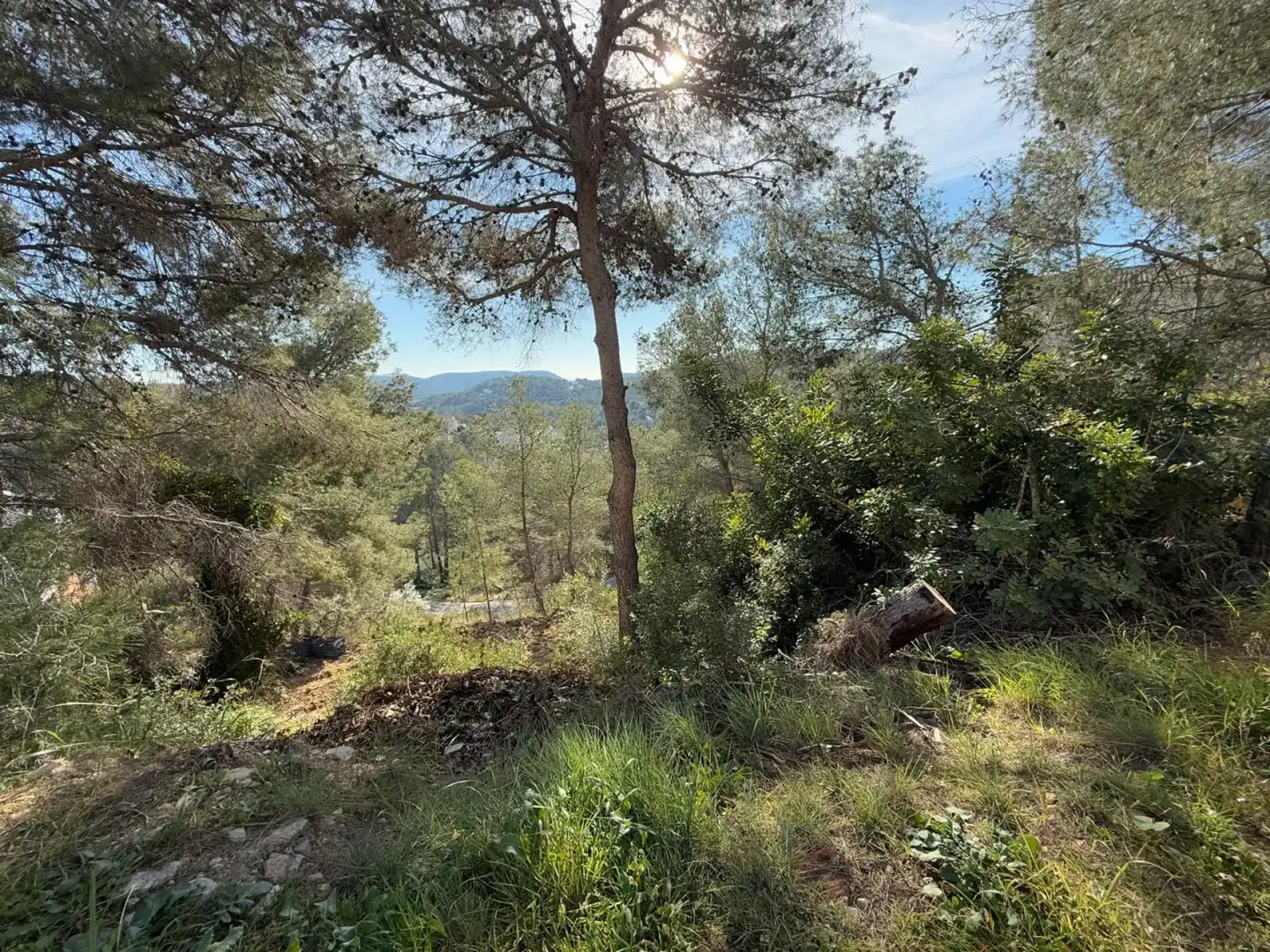 Residential land for sale in Olivella, imagen 5