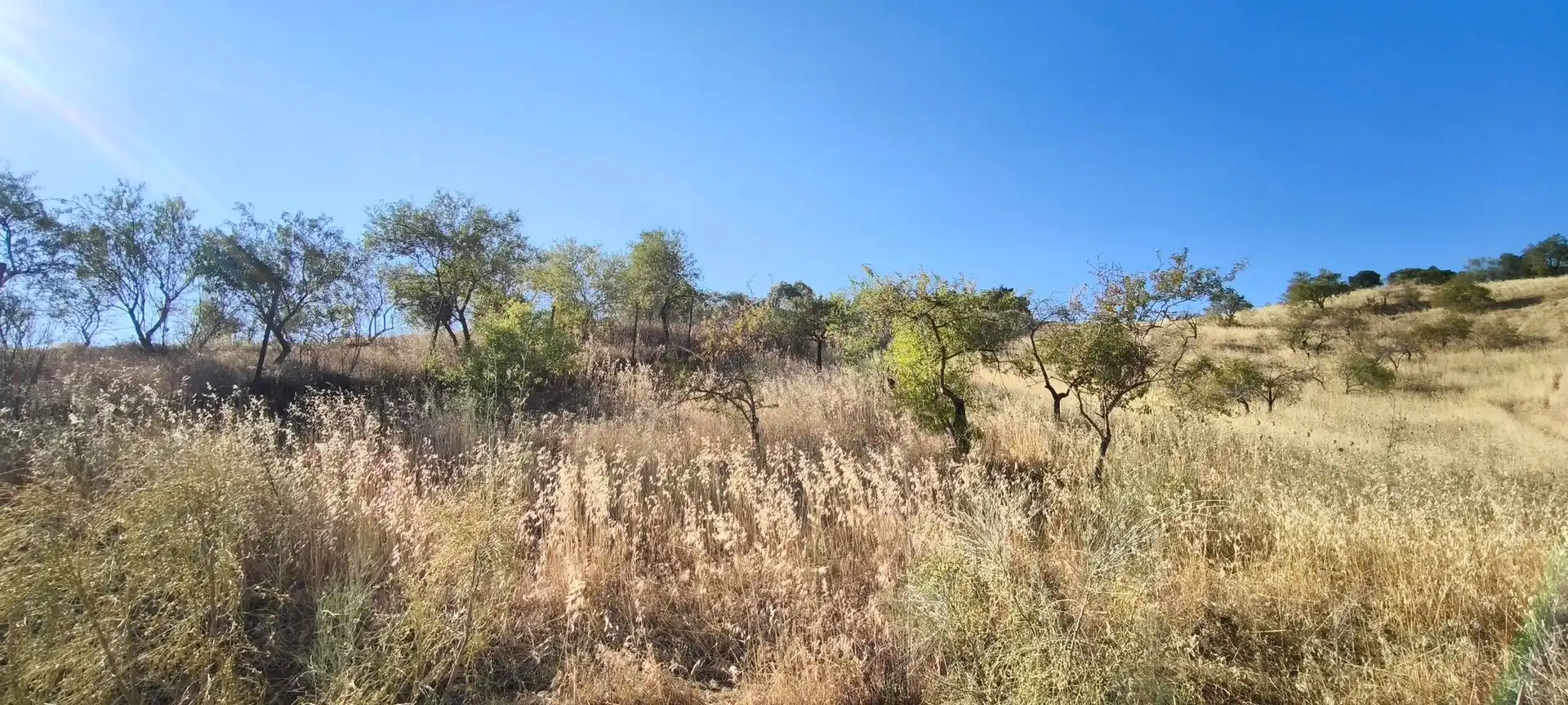 Terreni e lotti in vendita a Álora, imagen 12