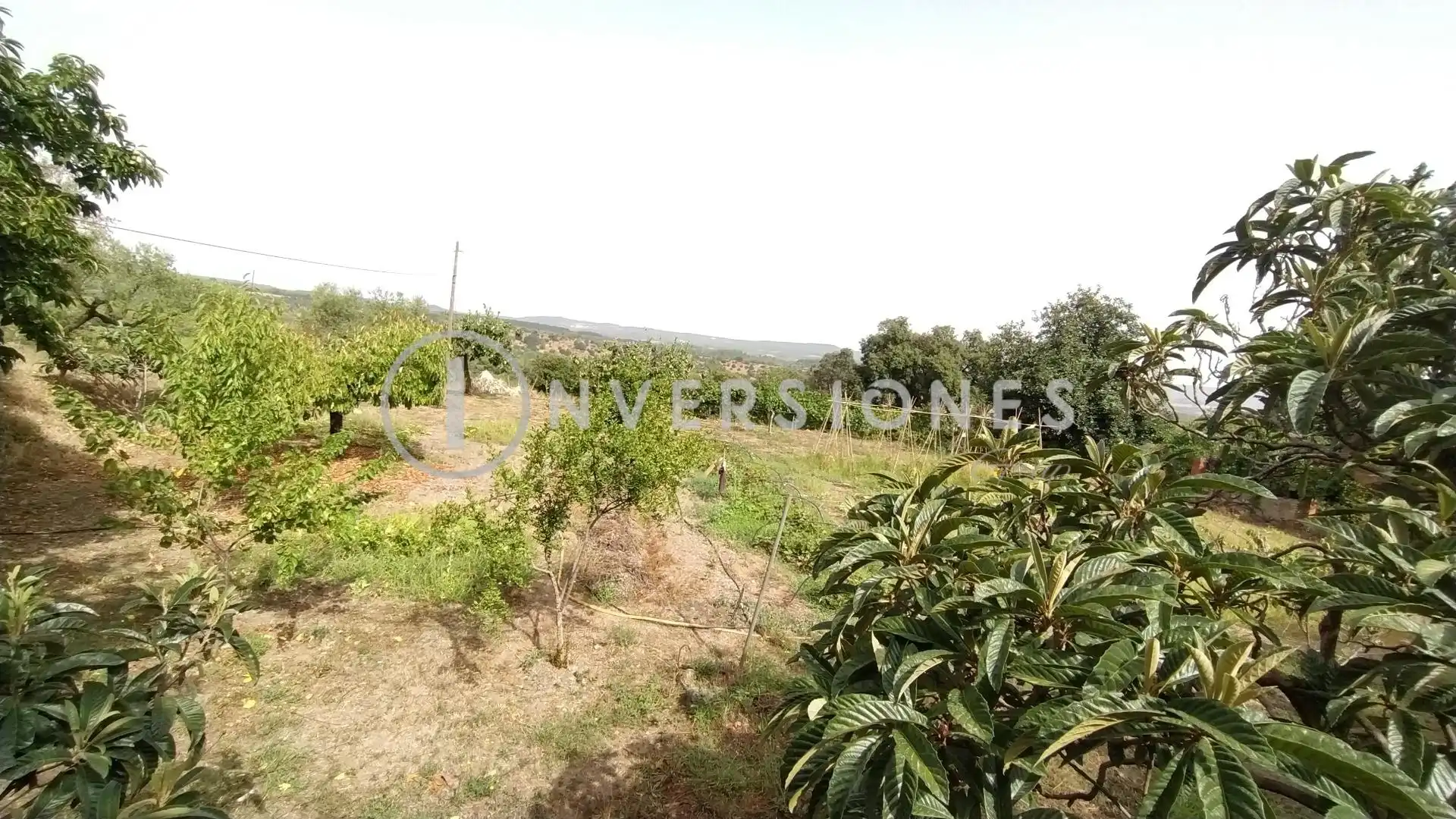 Country homes for sale in Vimbodí i Poblet  with Heating, Private garden and Terrace