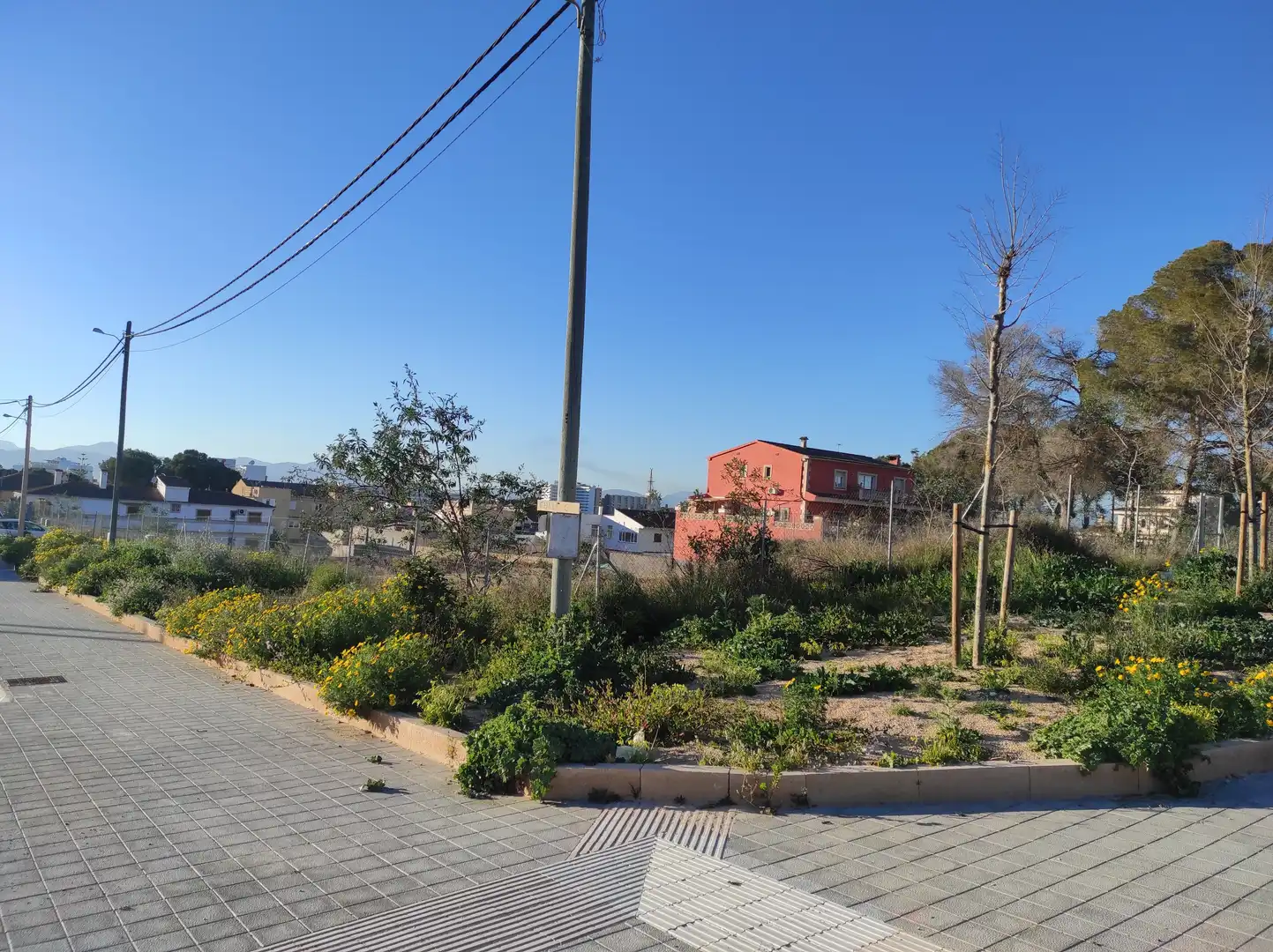 Terreno residencial en venta en Platja de Palma, imagen 12