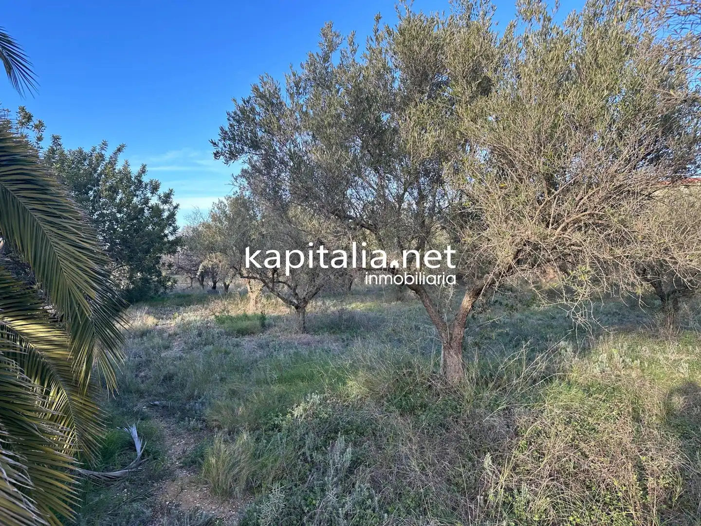 Residential zum Verkauf in Ontinyent