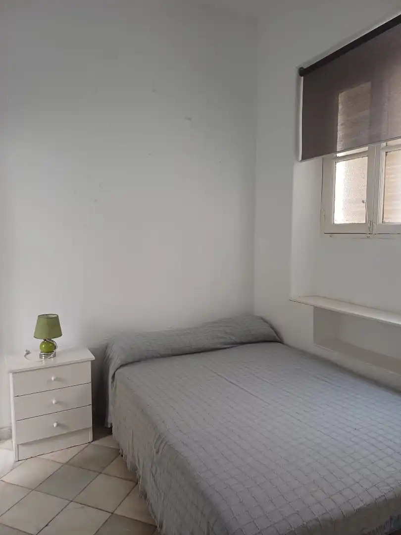 Apartments for rent in Calle Cristóbal Morales, Arenal - Museo
