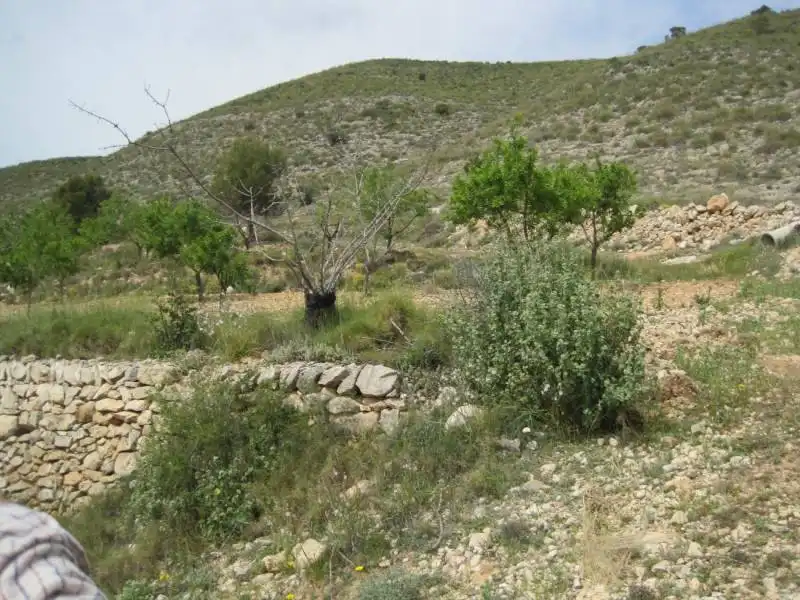 Terreno rústico en venta en Hondón de los Frailes