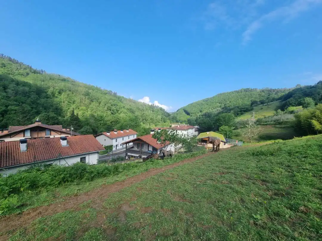 Vista exterior de Casa o chalet en venta en Hernani con Jardín privado, Terraza y Trastero
