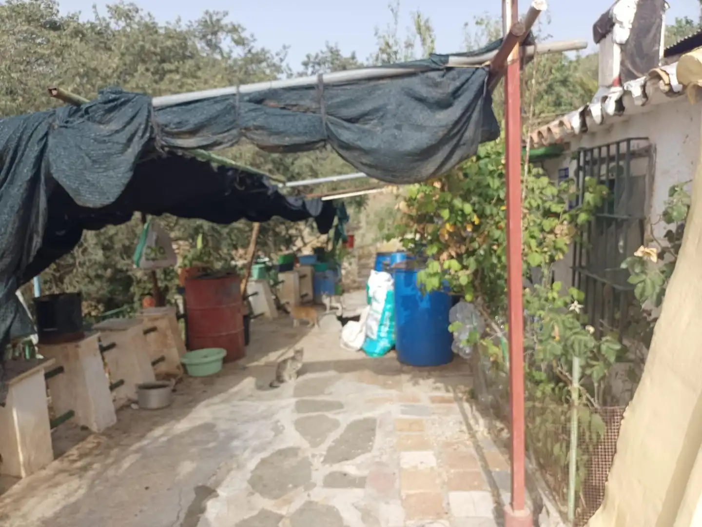 Jardín de Casa adosada en venta en Málaga con Terraza y Trastero