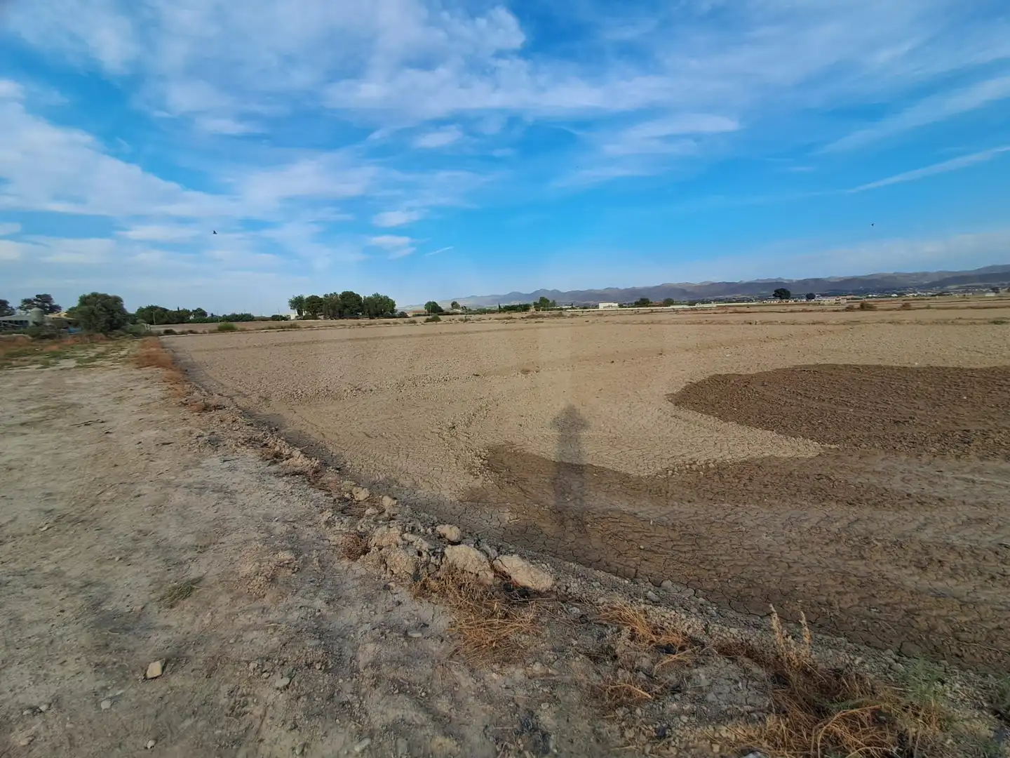 Lands and plots for sale in Pedanías Centro, imagen 7