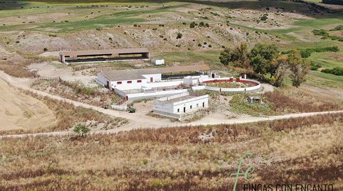 Estupenda finca agricola ganadera en Espera, Cádiz