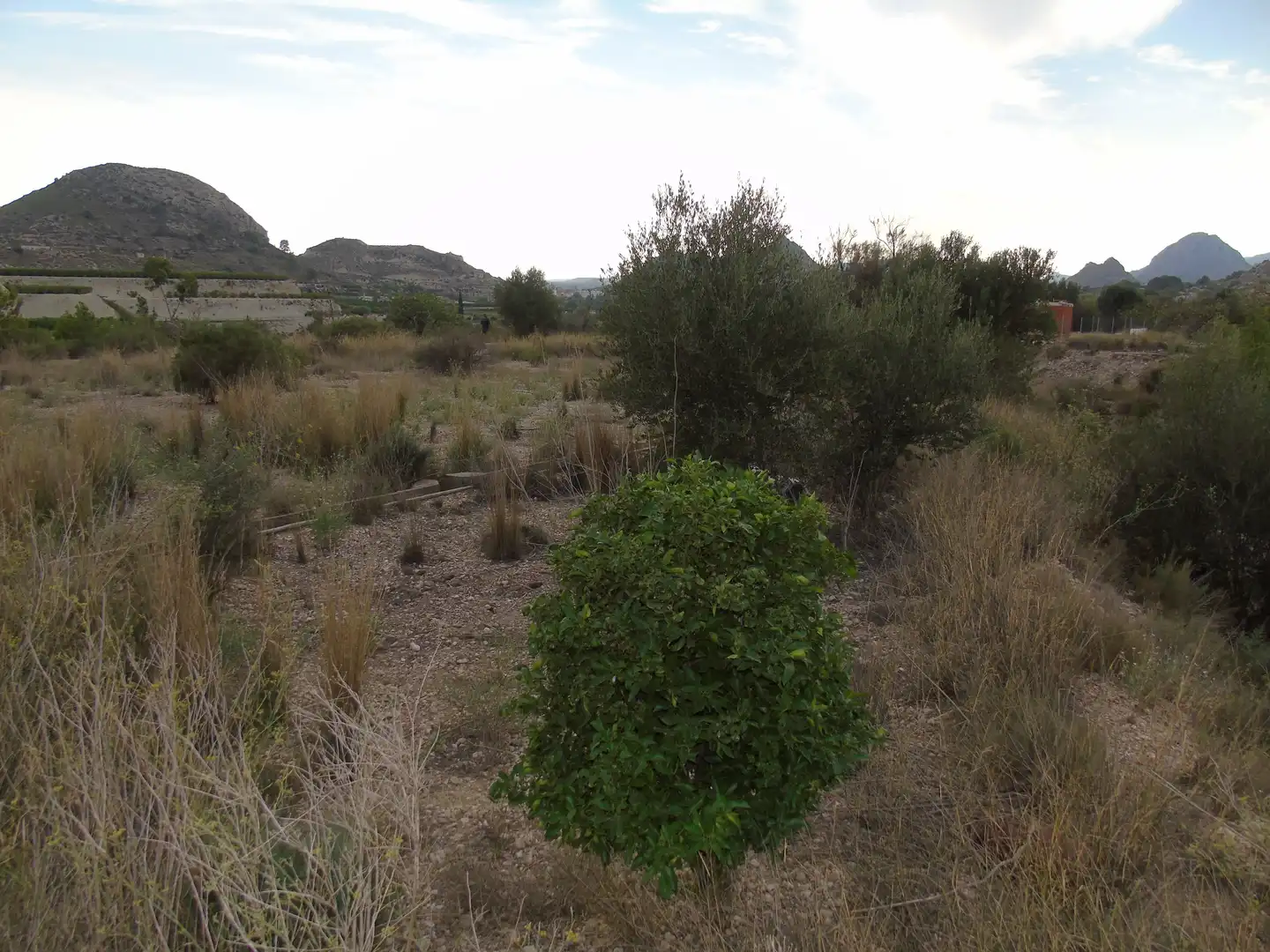 Terrain résidentiel à vendre à Ulea, imagen 5