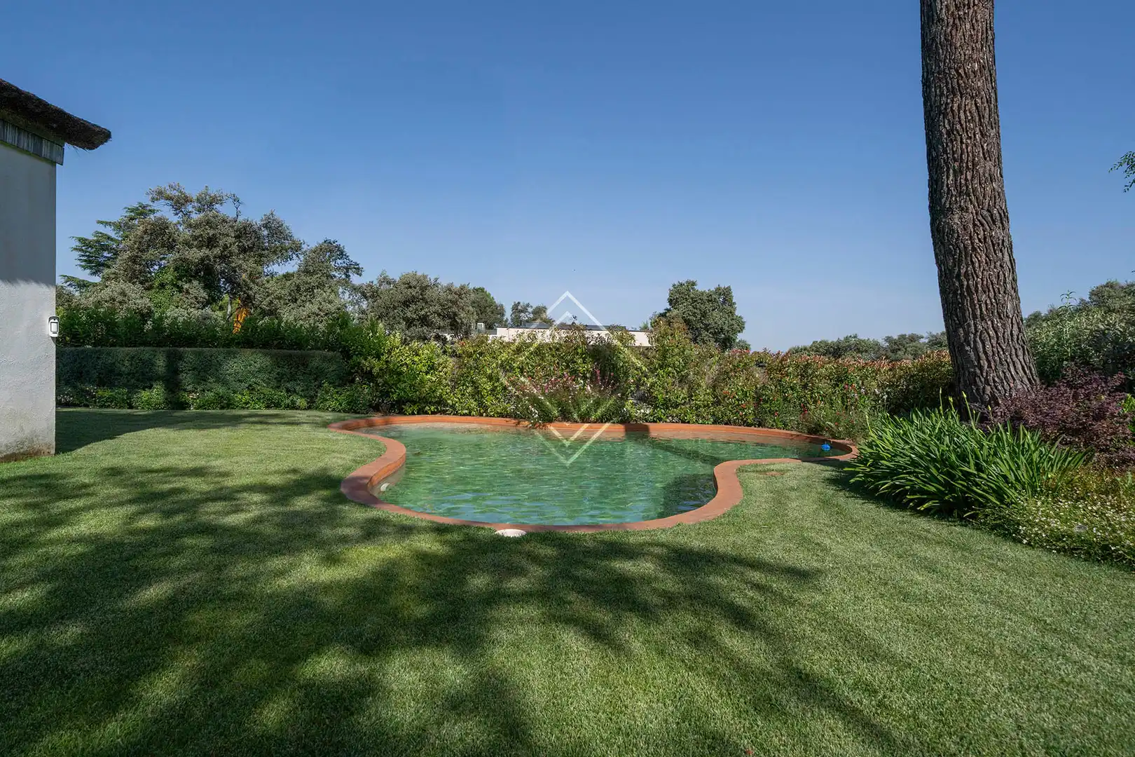Piscina de Casa o xalet de lloguer en Madrid amb Aire condicionat, Jardí privat i Terrassa