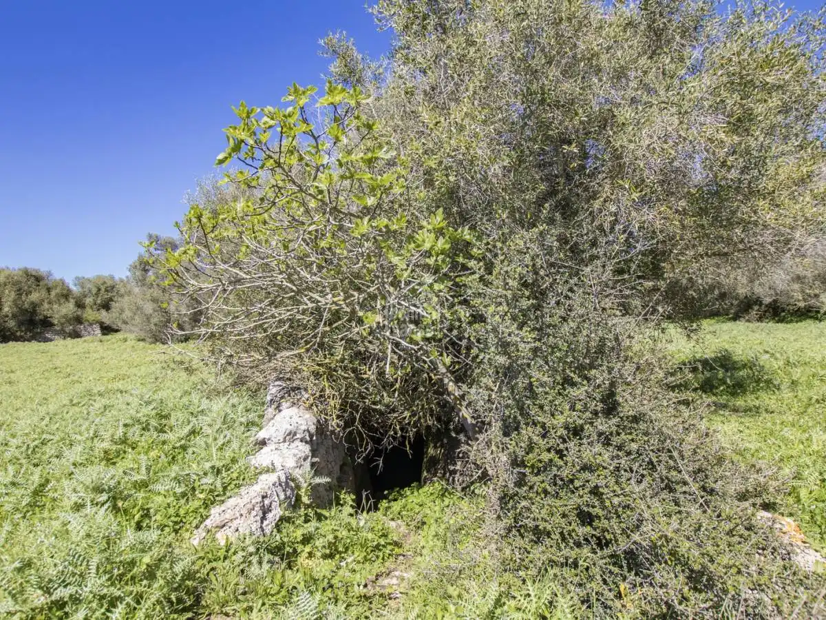 Casa rústica amb jardí en venda a Sant Climent - Es Canutells, imagen 54