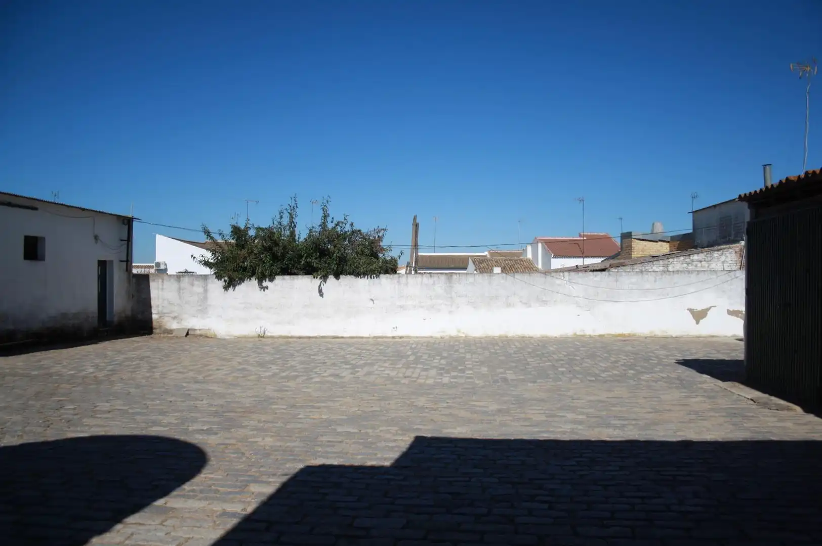 Exterior view of Residential for sale in Carrión de los Céspedes