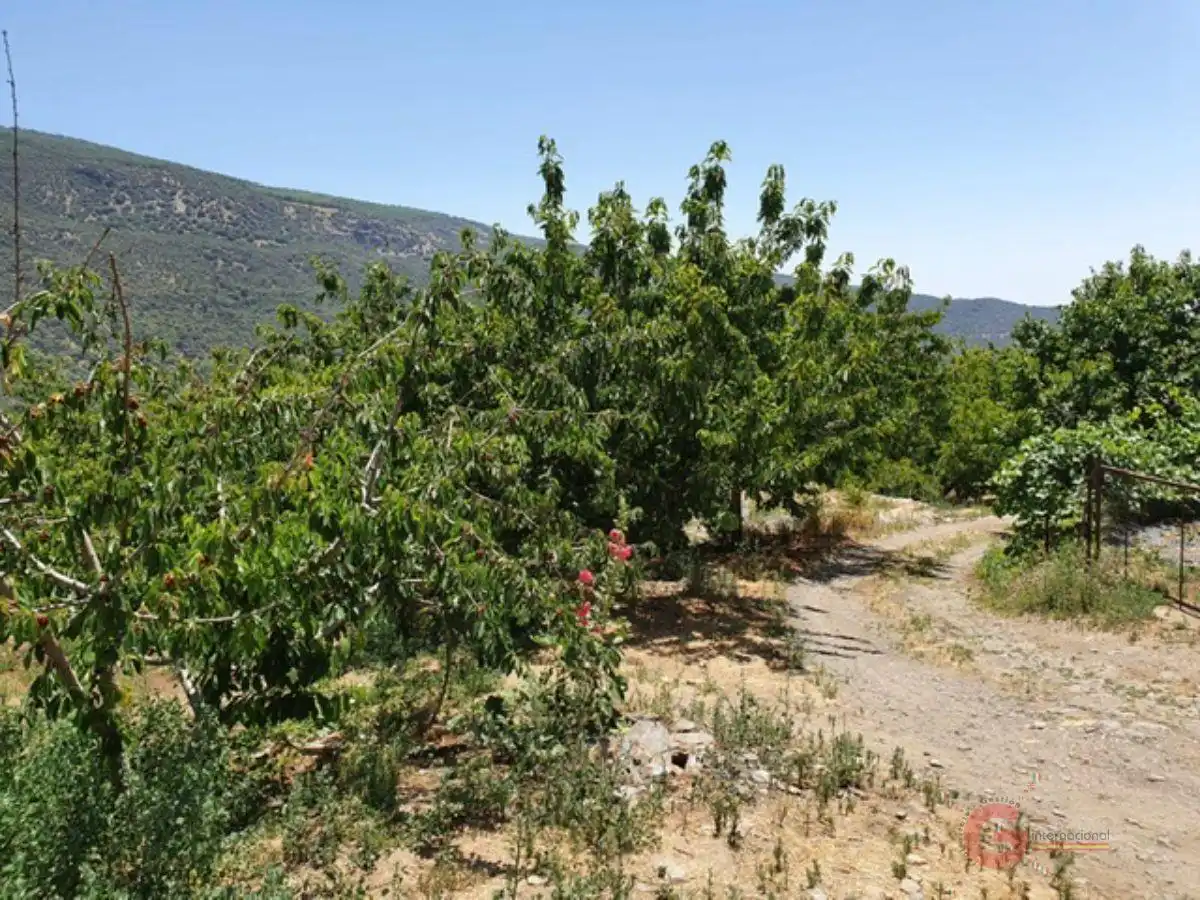 Country homes for sale in Busquístar