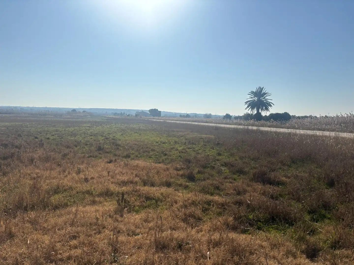 Terrain rustique à vendre à La Foia - Daimés - Asprella, imagen 15