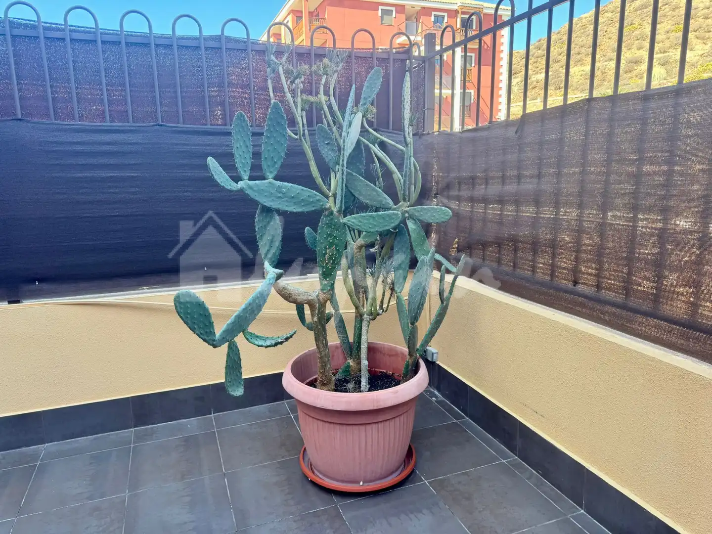 Terrace of Apartments for sale in Palm - Mar