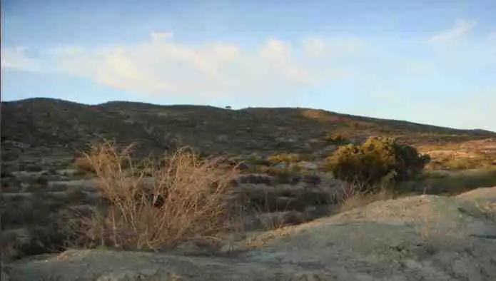 Terreno rustico in vendita a Pj El Estrecho, imagen 6