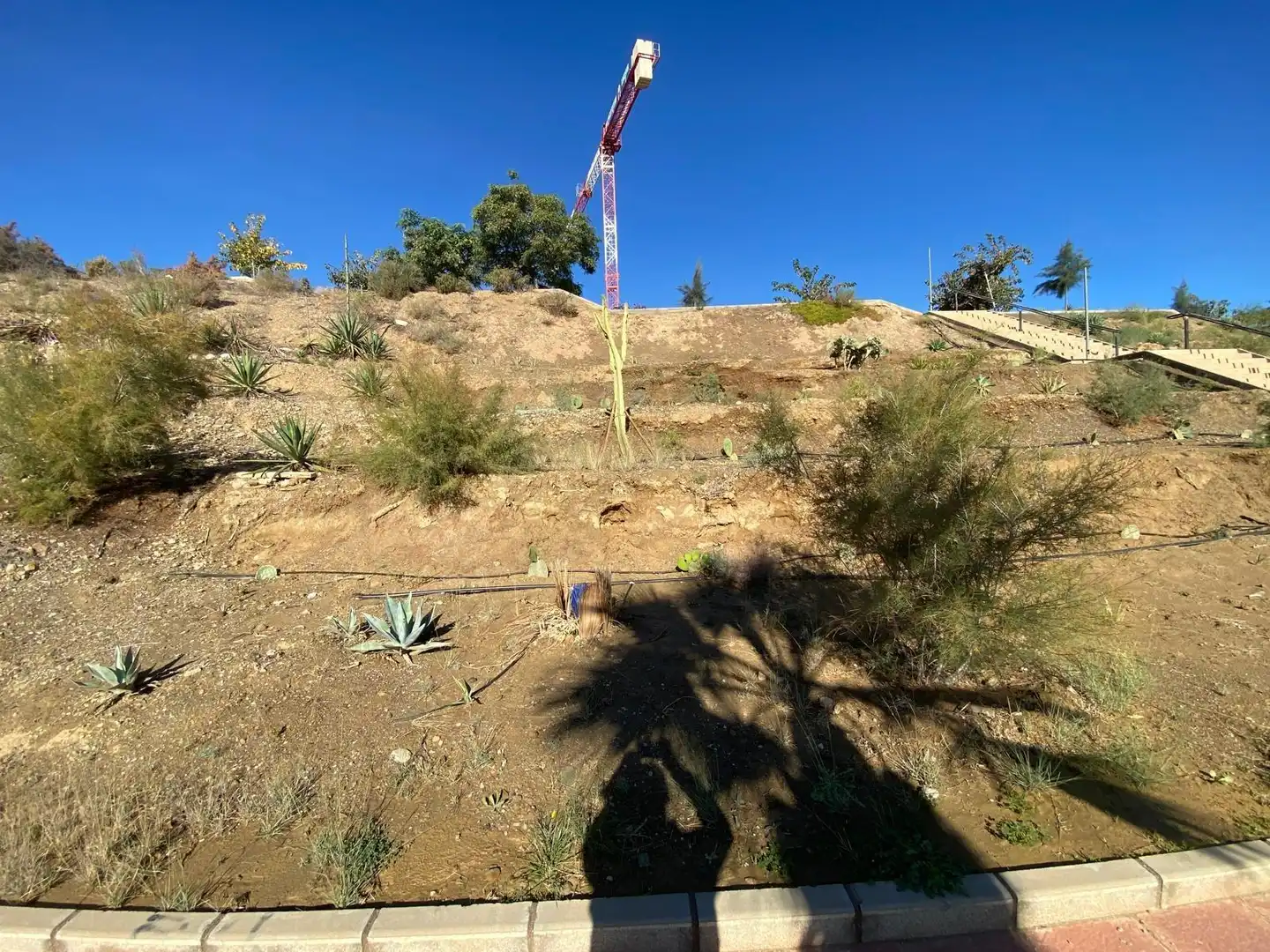Terreno residencial en venta en Calle Diseminado Cuesta Andrea 8, imagen 8