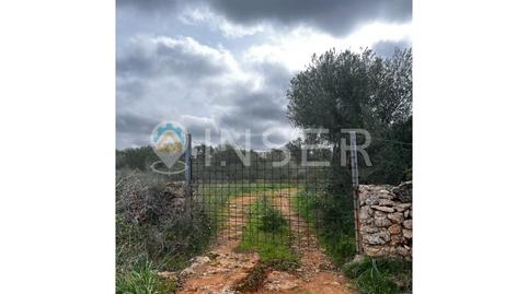 Foto 2 de Casa o chalet en venta en N/a, Zona Rústica - Interior, Campos