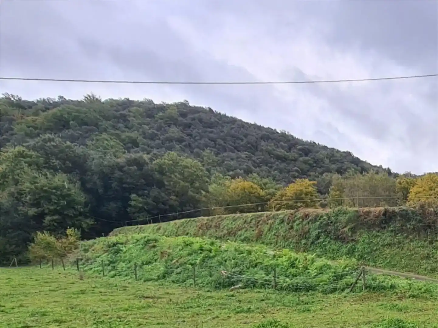 Finca rústica en venda en Santa Pau, Girona