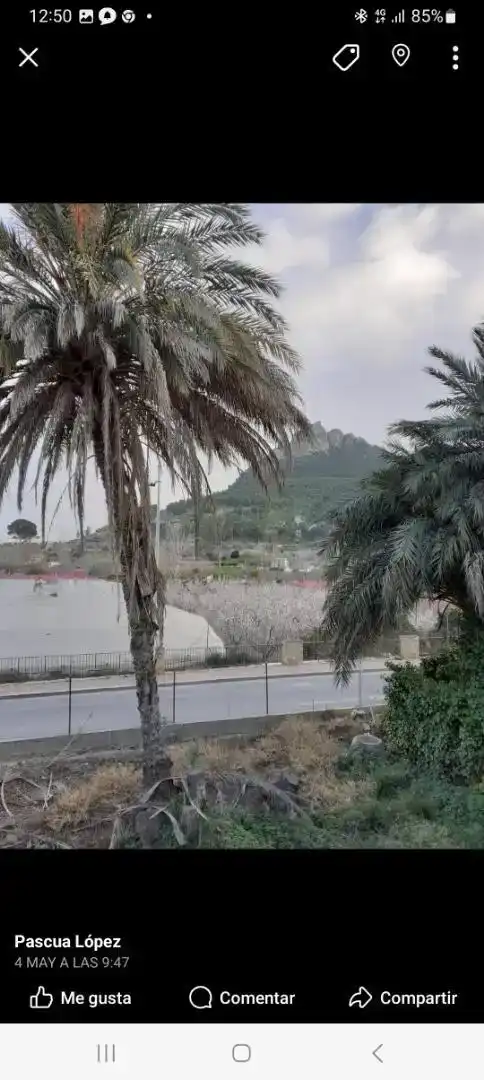 Vista exterior de Finca rústica en venda en Cieza, Murcia