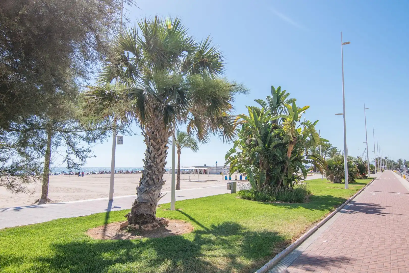 Exterior view of Apartments for sale in Gandia  with Air Conditioner, Terrace and Furnished