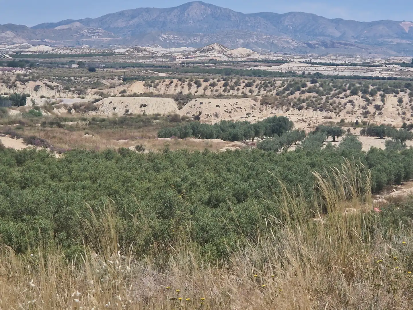 Rural land for sale in RM-A7 119, imagen 7