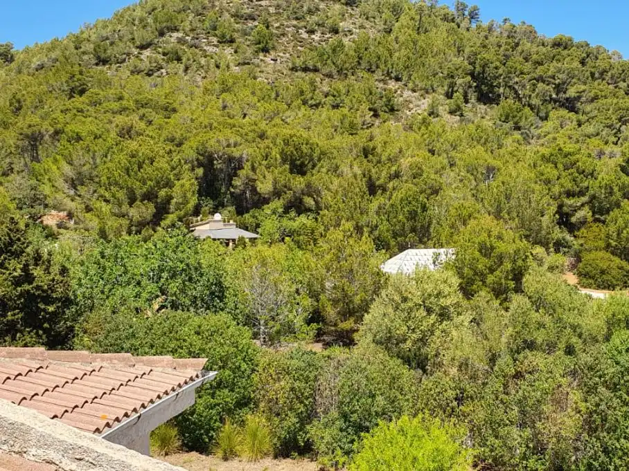 Vista exterior de Finca rústica en venta en Cala Ratjada