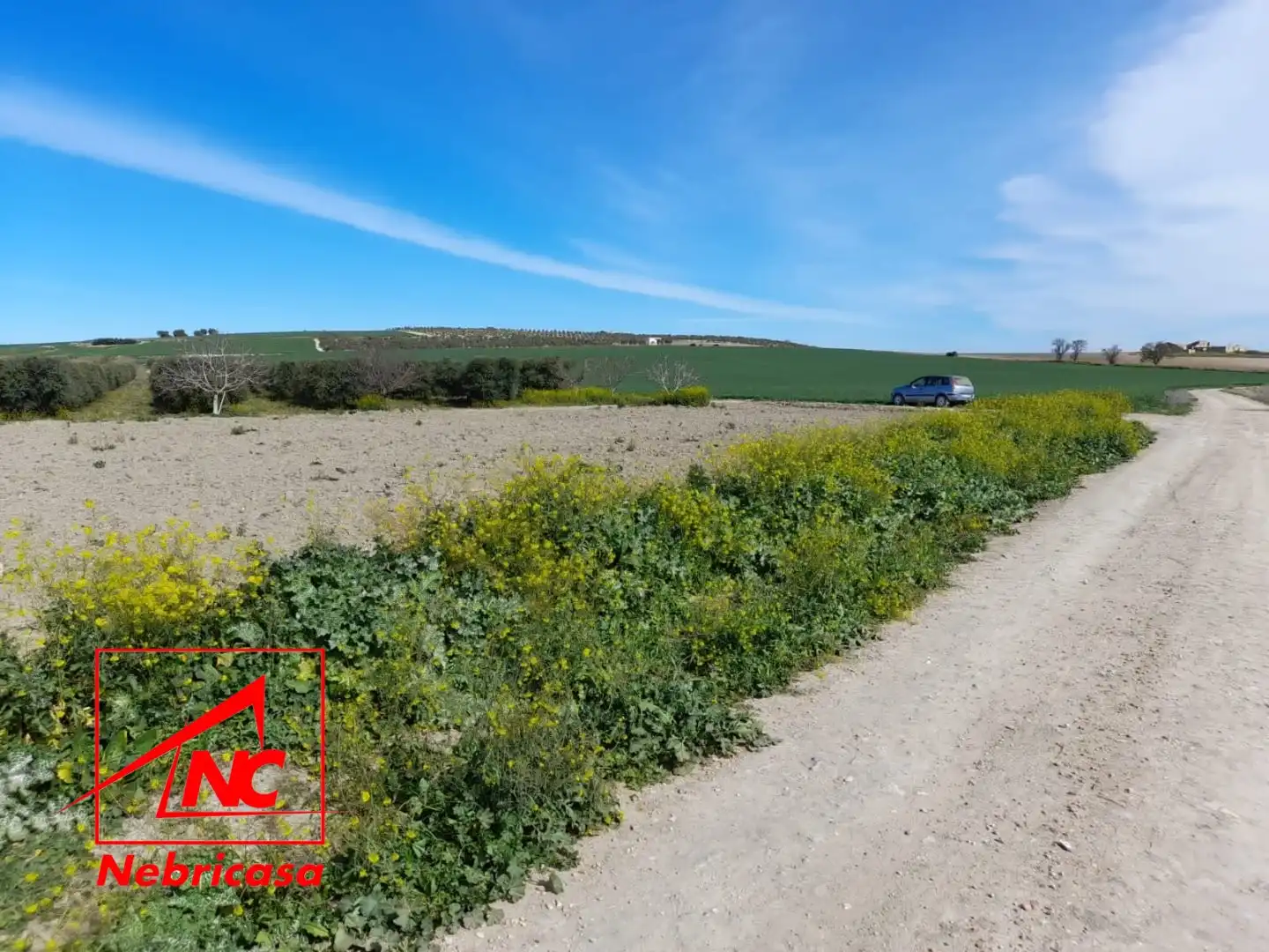 Terreni e lotti in vendita a Lebrija, imagen 5