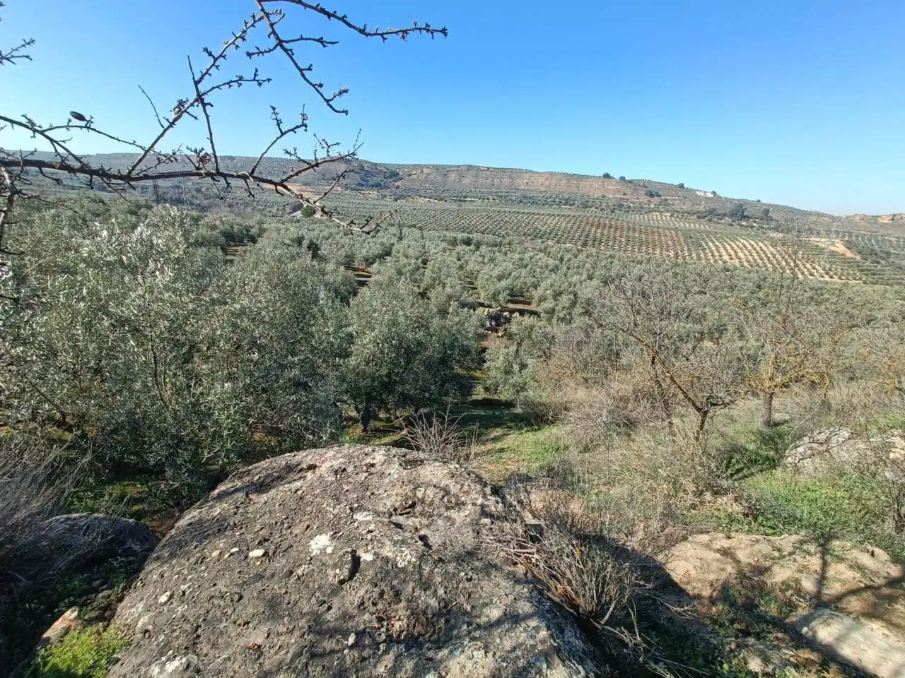 Terreni e lotti in vendita a Moraleda de Zafayona, imagen 16