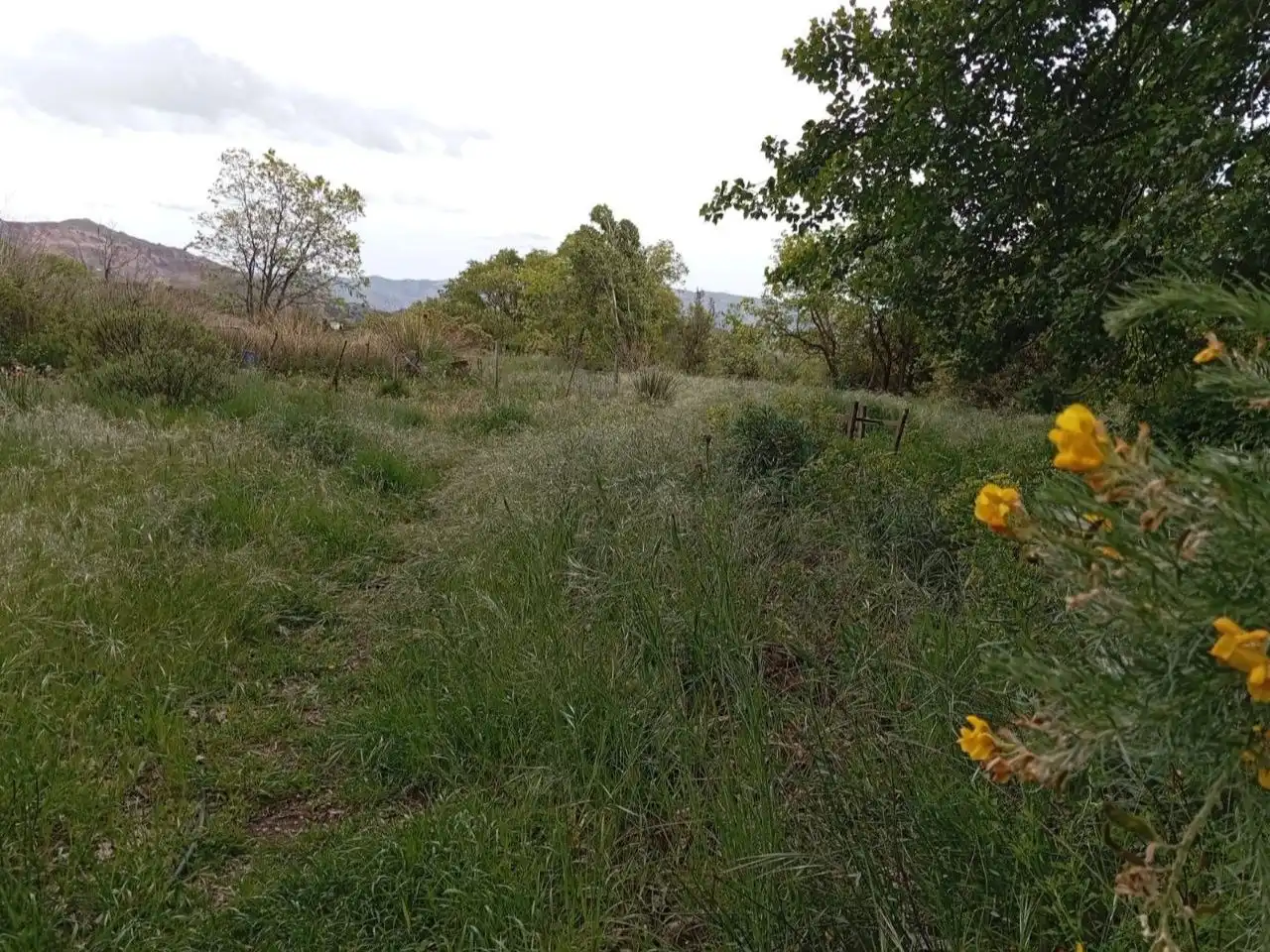 Terreno en venta en Pórtugos