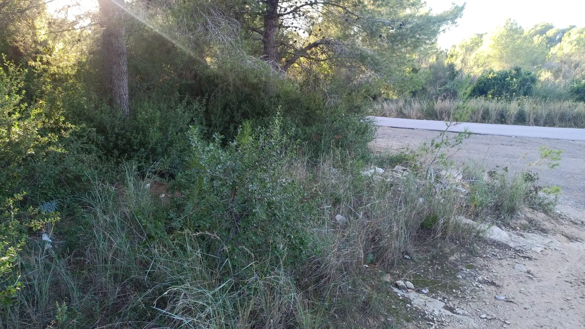 Terreno en venta en El Vendrell